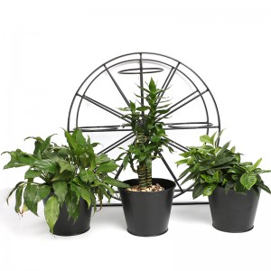 Ferris Wheel 3 Pots Metal Plant Stand Flower Pot Holder for Home Garden Patio and Balcony